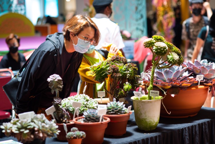One-of-a-Kind Succulent Fair at Ipoh Parade